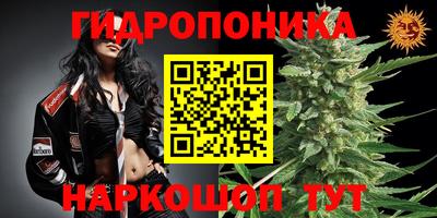 стаф Чебоксары